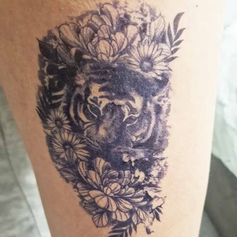 KamilaMEEEEEGA! The tiger is beautiful!